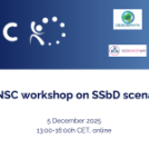Recap of the 2nd NSC workshop on “SSbD scenarios” on 5 December 2025