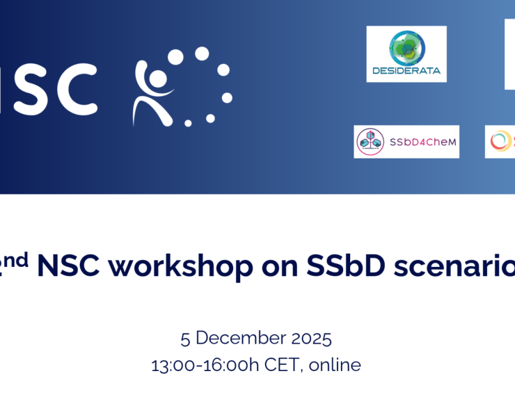 2ndNSCworkshopSSbDscenarios_Cover
